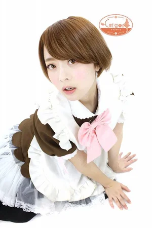 木下ありす