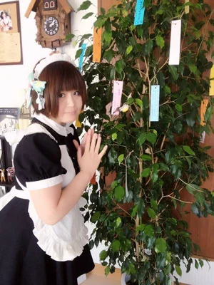 みしる