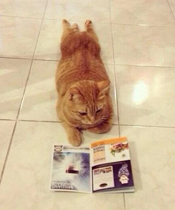 29Qギャラクティコ♡ブログ＆ツイッター