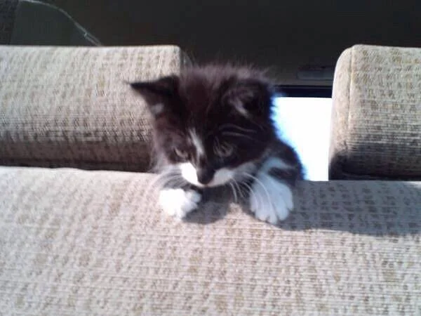 るう【予約制】〜Ruu〜