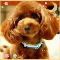 コスプレ専門チャット♡萌えキャス