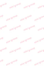 メイドカフェ・ミアカフェ秋葉原店（2004年創業！）:にのん