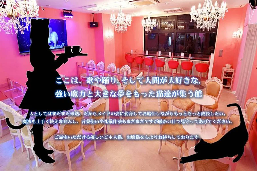 メイド喫茶　みけねこカフェ　川越店