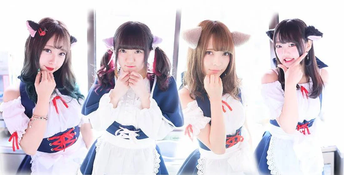 みけねこカフェ秋葉原店