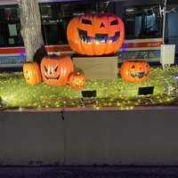 ハロウィン終わりましたねの画像1