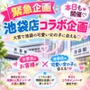 💗 緊急企画！本日も池袋店コラボ開催中✨ 💗