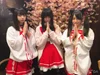 micoざくら