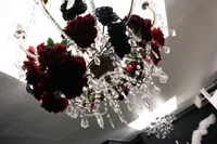 柘榴〜ザクロ〜