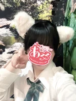 あるる〜Animal Girls〜 日本橋オタロード店:がる