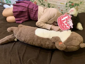 あるる〜Animal Girls〜 日本橋オタロード店