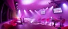 みけねこカフェ 2nd stage