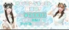コンカフェで働いてみたいと思ったら是非当店へ。
