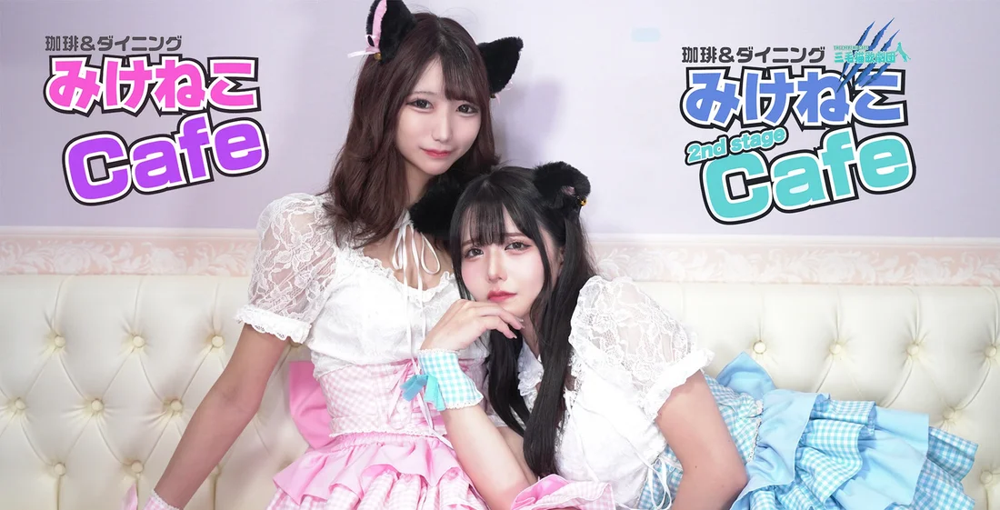みけねこカフェ 2nd stage