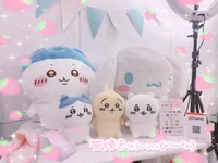 ギャラリー画像[5]