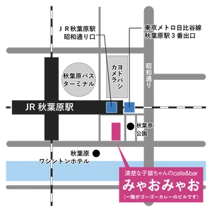 みゃおみゃお 秋葉原 コンカフェ ＆ メイドカフェの外観