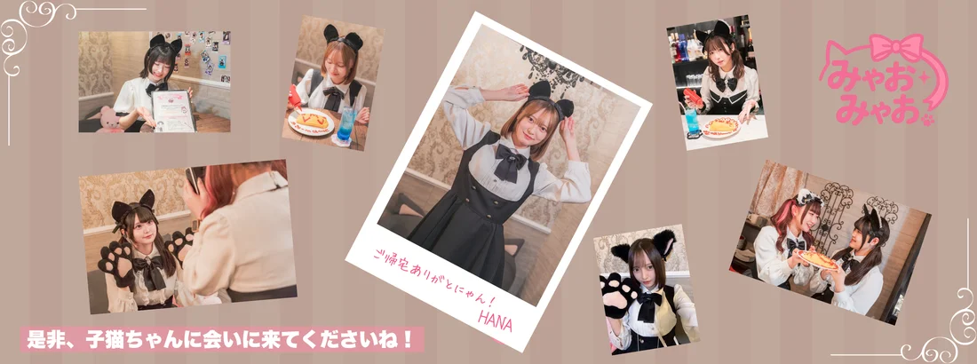 みゃおみゃお 秋葉原 コンカフェ ＆ メイドカフェ