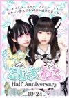  ✨ こむぎ＆わこ Half Anniversary ✨