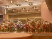 ギャラリー画像[4]