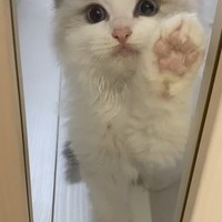 我が家の怪獣、、、の画像1