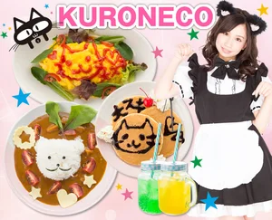 黒猫メイド魔法カフェ　ドン・キホーテ広島八丁堀店