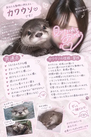 すずね
