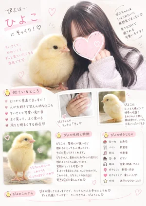ぴよ