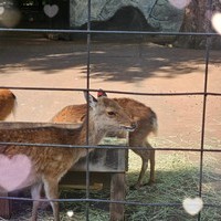 ひまちです💕