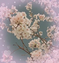 もちです👶🏻の画像1