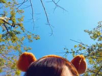 みい📕の画像1