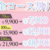 ⭐\9,900→ ￥7,900オプション割とコスプレ半額も⭐