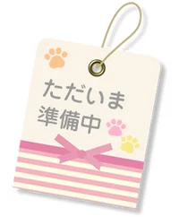 ギャラリー画像[2]