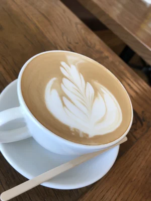 みけねこカフェ池袋店