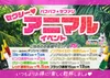 5/29(金),5/30(土) セクシー💗アニマルイベント