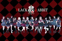 BLACKRABBIT