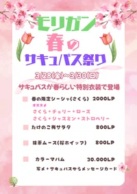 🌸桜祭り🌸