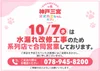 オオカミちゃんカフェ三宮店