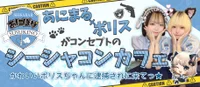 あにぽり