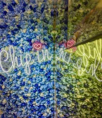 ギャラリー画像[5]