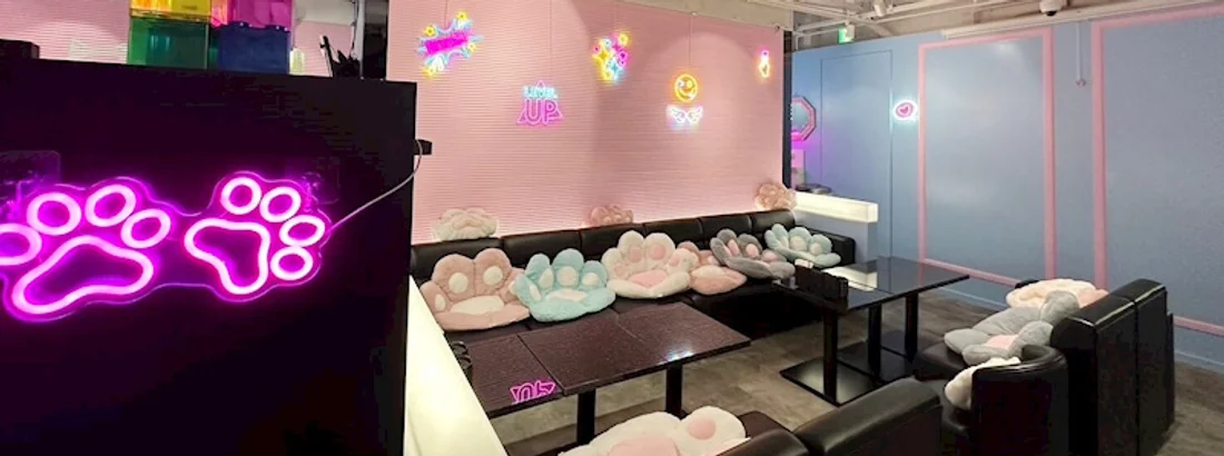 #ねこはじ - ねこはじめました -