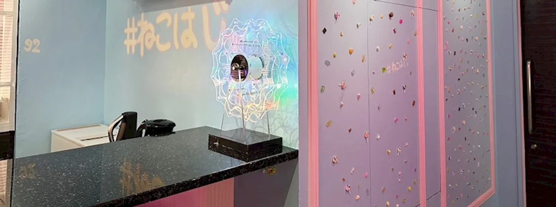 #ねこはじ - ねこはじめました -