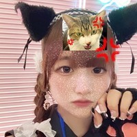 #ねこはじ - ねこはじめました -