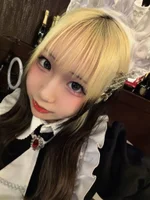 おれのメイド。:あこむ