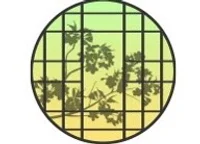 MITSUBACHI