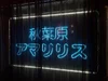 アマリリス