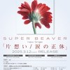 ROCKCUNESTAR-ろっきゅんすたあ-