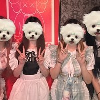 ギャラリー画像[0]