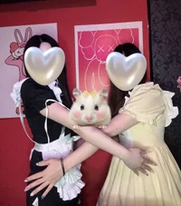 ギャラリー画像[3]