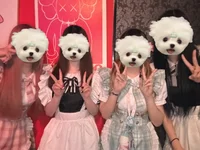 ギャラリー画像[0]