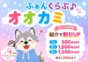 今週は本日まで！オオカミふぁんくらぶ✨