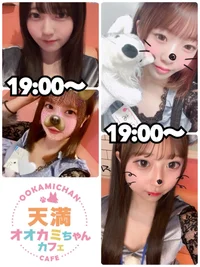 本日の出勤情報🐺
